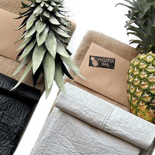 pineapple leather2